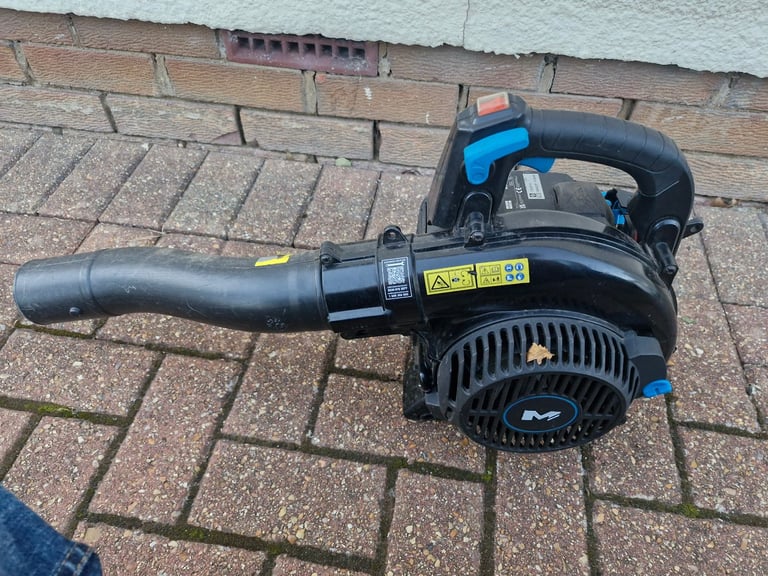 image for  Leaf Blower / vacuum 