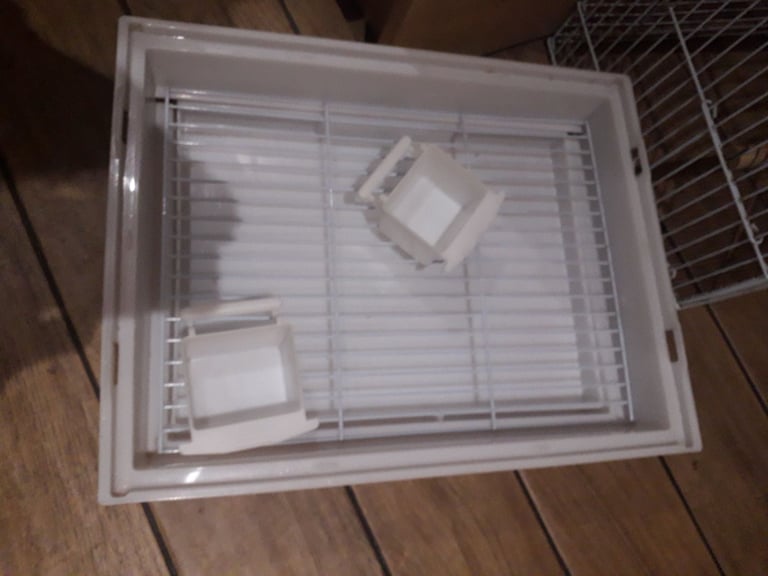 Budgie Cage
