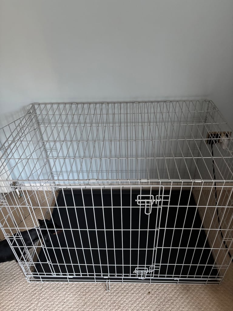 Pats at home new large grey crate 