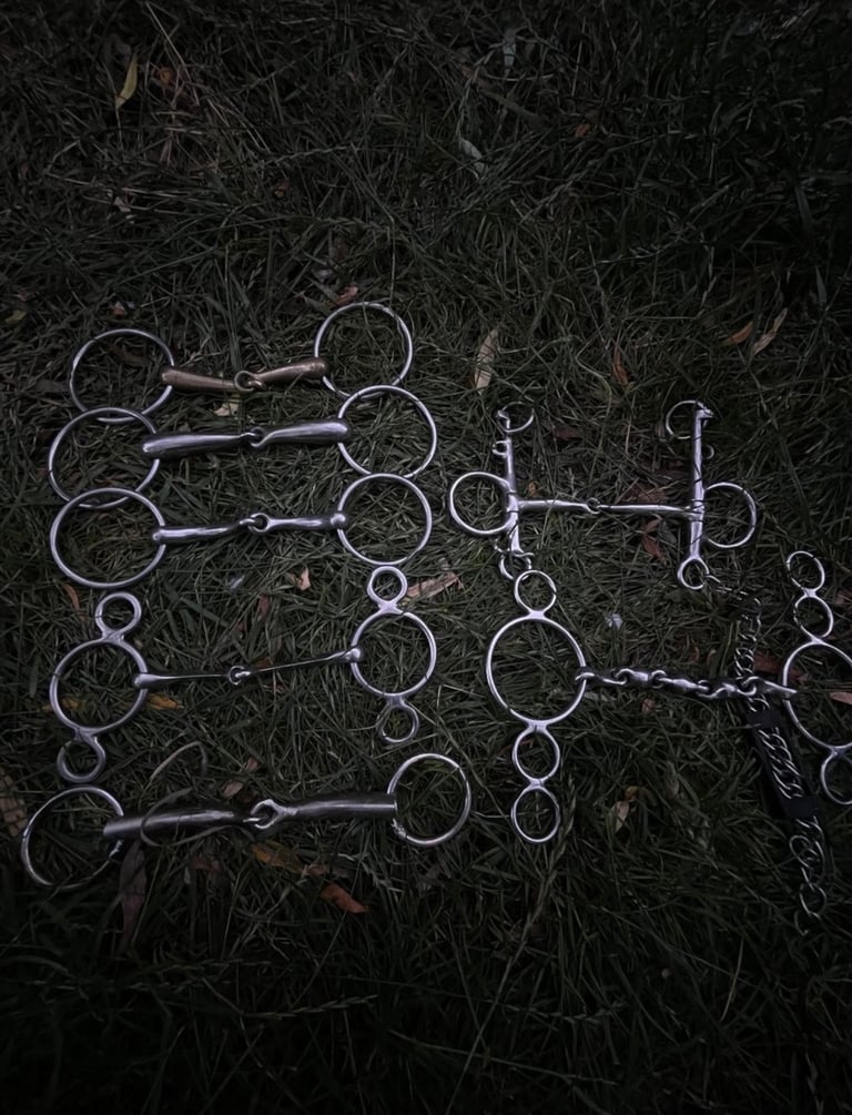 7 DIFFERENT HORSE BITS