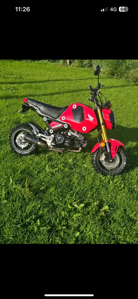 Honda, MSX, 2023, 124 (cc)
