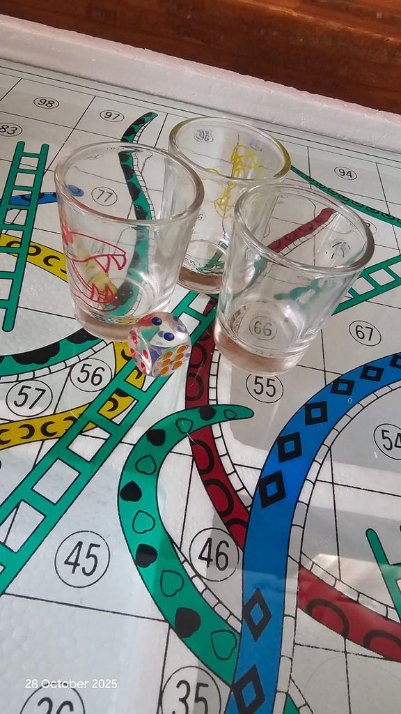 Large Adults Snakes and Ladders drinking game
