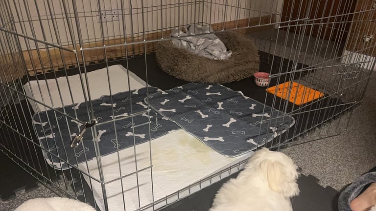 Ellie-Bo 8 Panel Dog Playpen — Great Condition