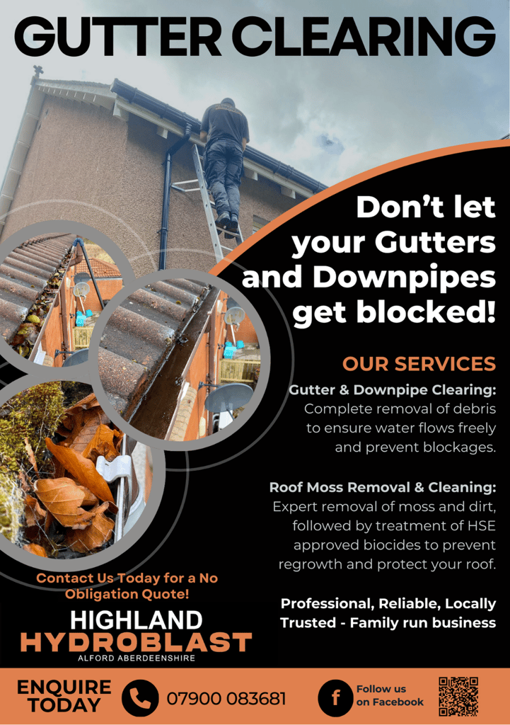 Professional Gutter Cleaning – Safe, Thorough & Efficient