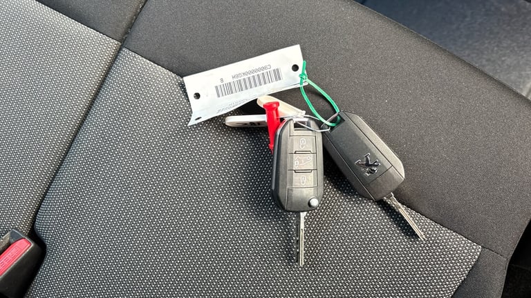 2022 Peugeot Expert Standard Diesel 1000 1.5 BlueHDi 100 Professional Premium Van Van Diesel Manual