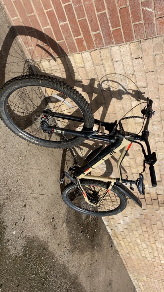 Electric bike, pedal assist