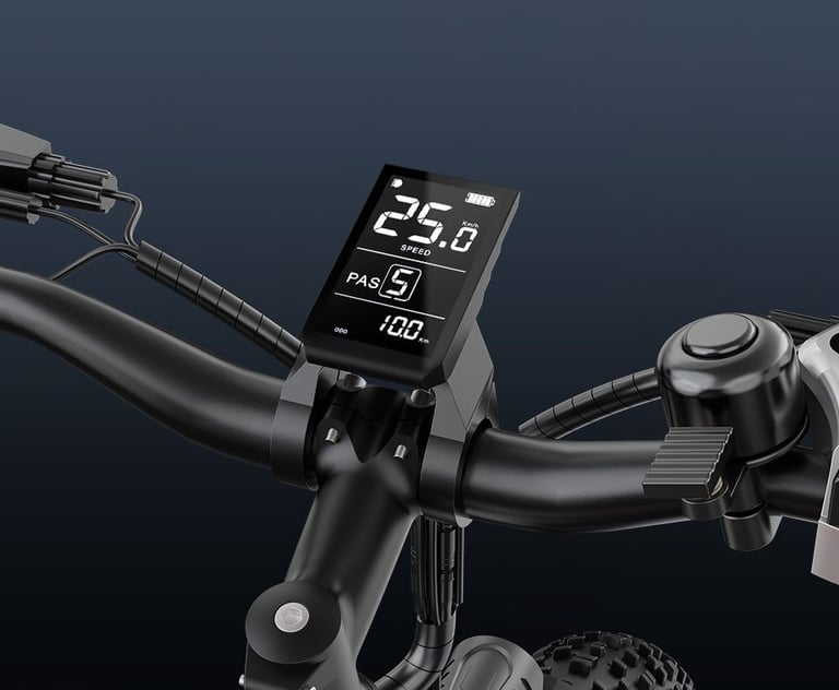 VARUN M26-2 PLUS is a rugged and powerful 26" Fat-Tire Mountain E-Bike