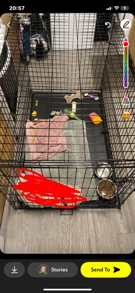 Xxl dog crate 