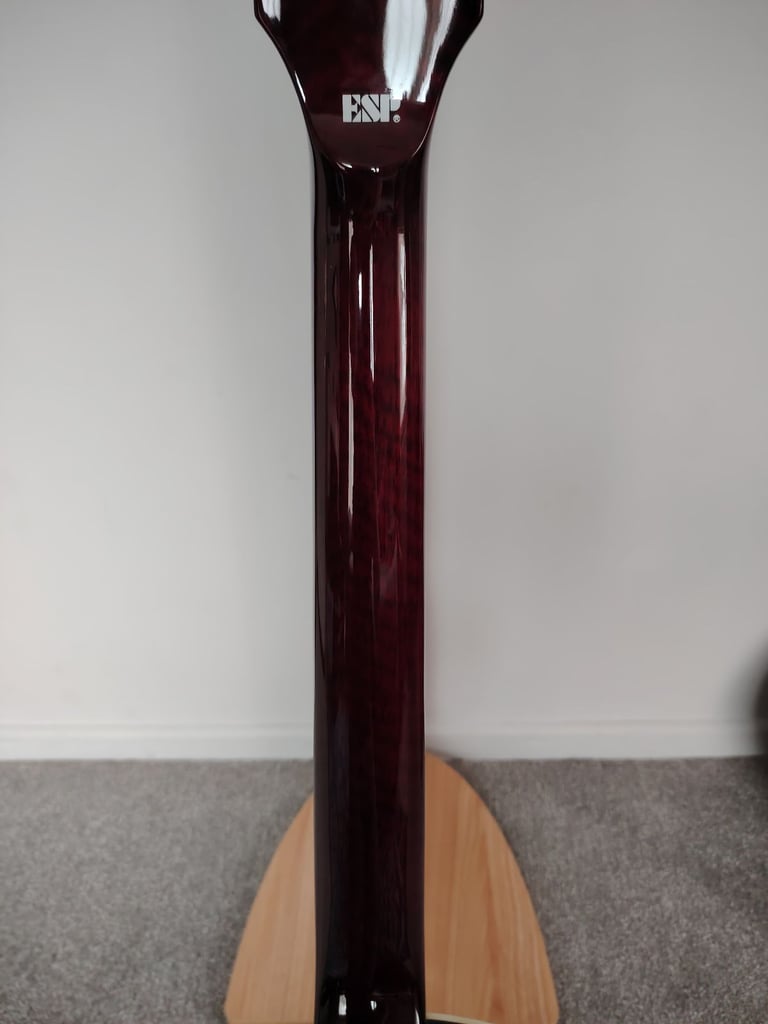 Esp (LTD) EC1000 Deluxe (with case)