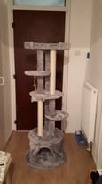 Large unused Cat Tree and other Cat Accessories £100 for everything