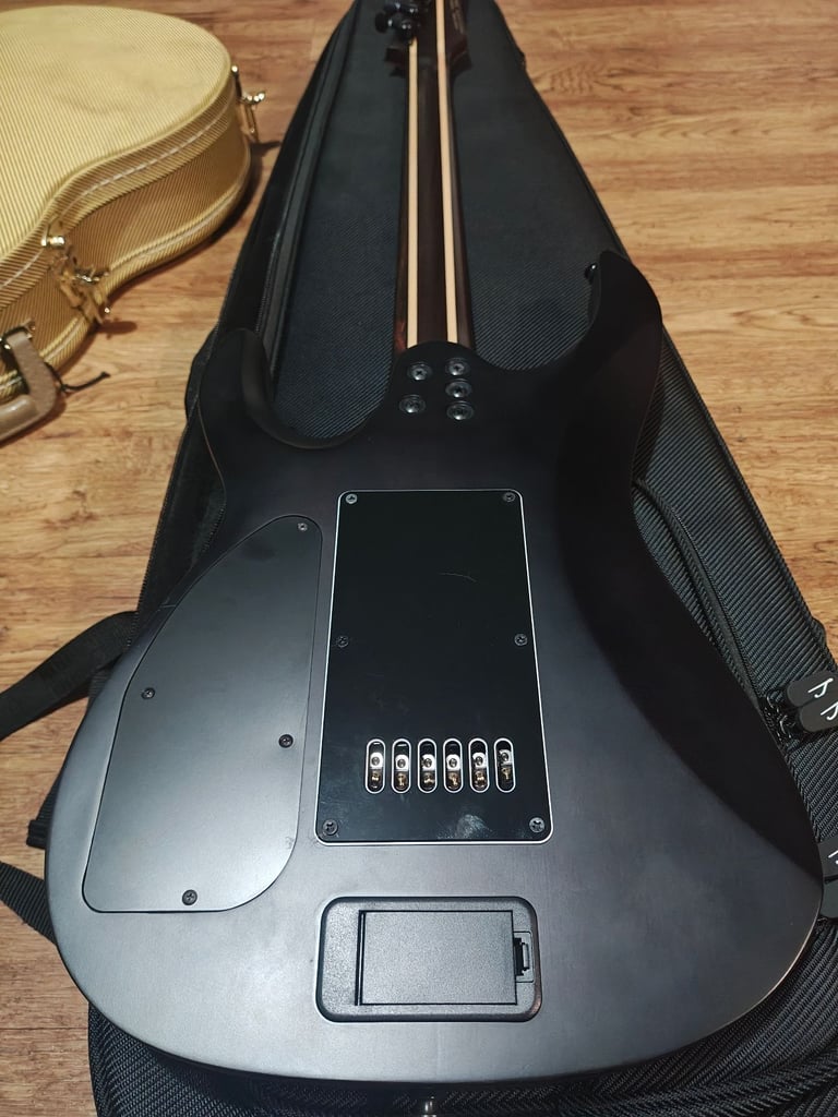 Stunning legator x6 Carribbean 