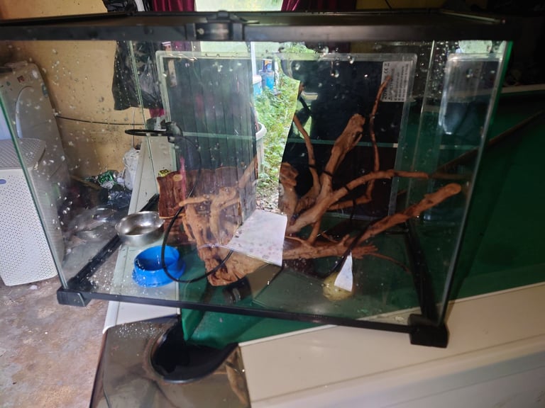 image for Vivarium 