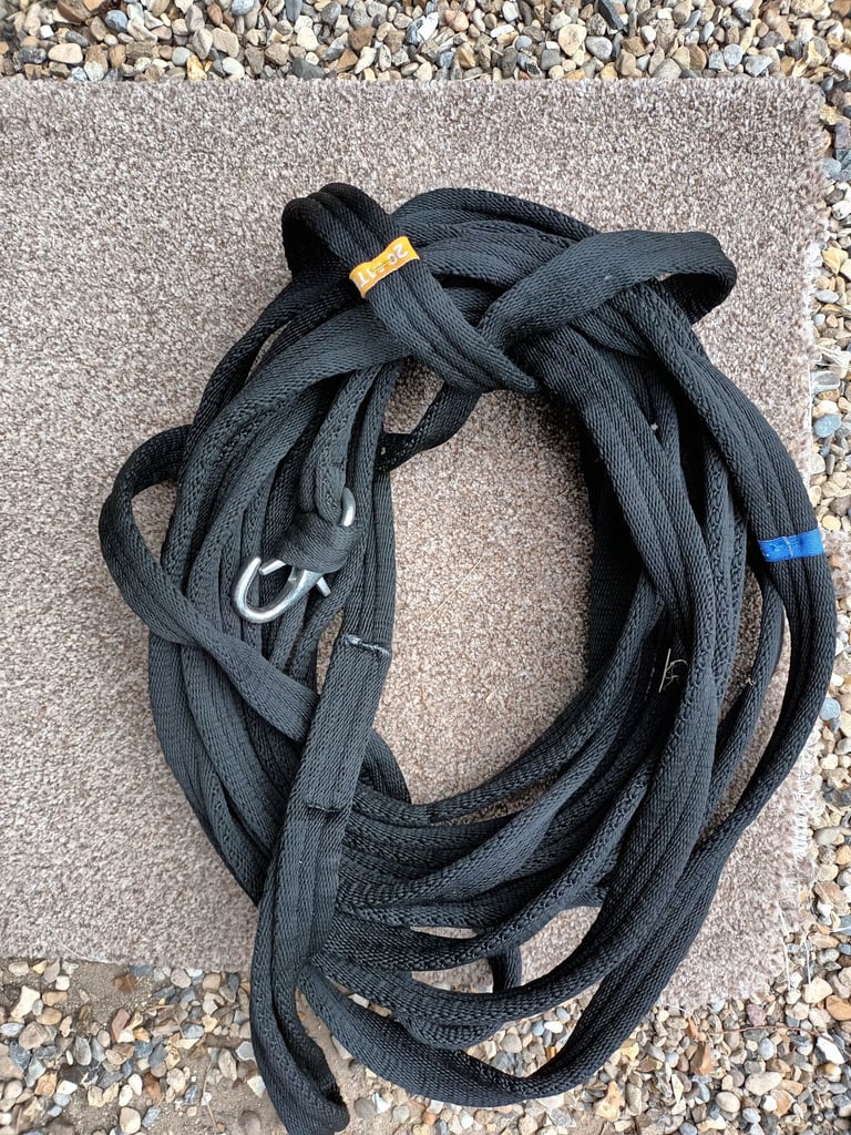 image for As new condition- lunge line and whip