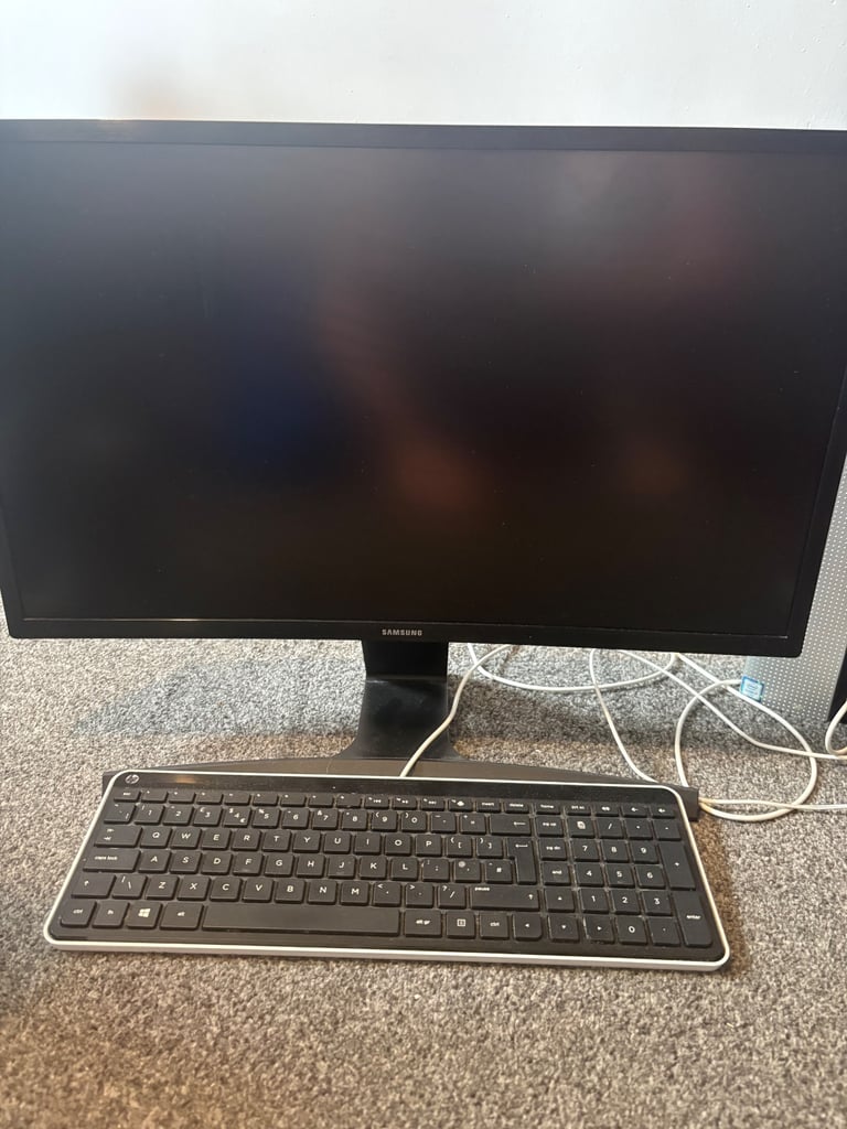 HP tower with Samsung monitor 