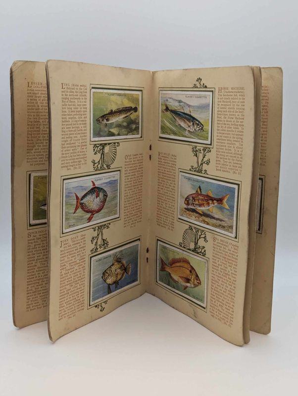 image for John Player & Sons 'Sea Fishes" cigarette card album