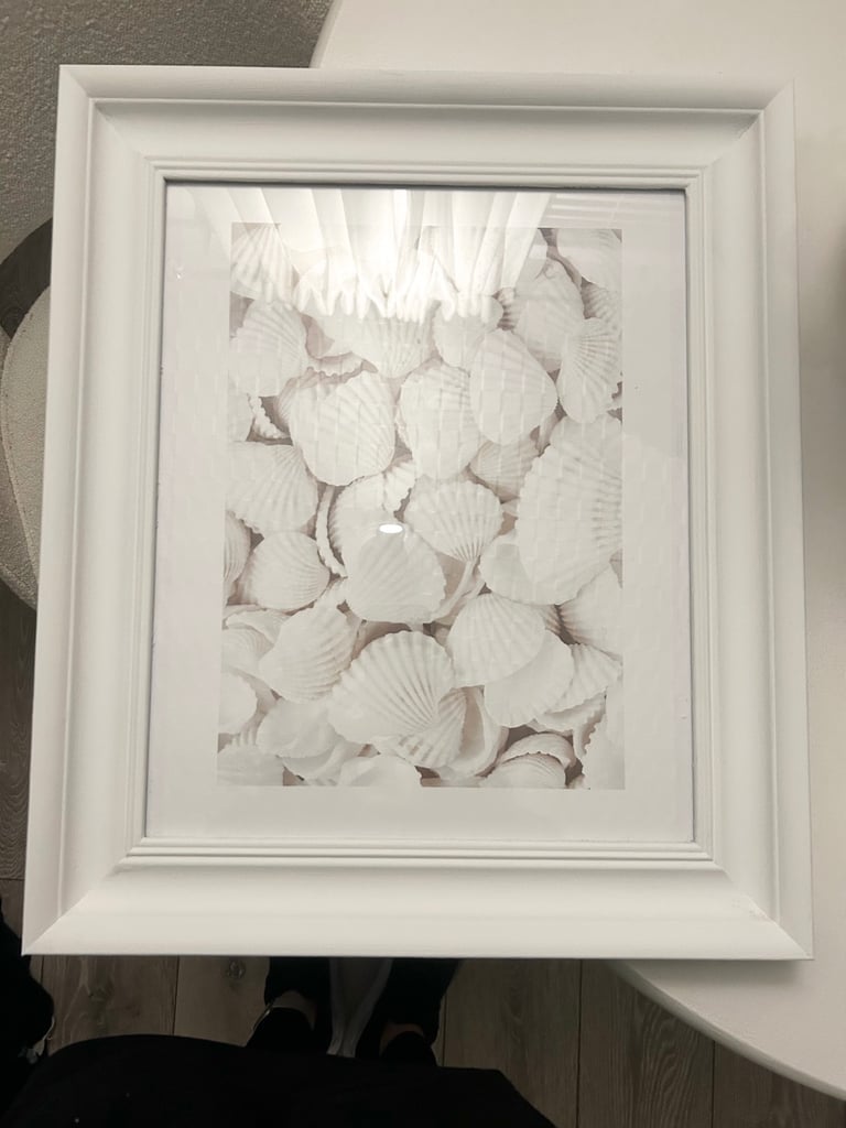 Picture frame with shell print 