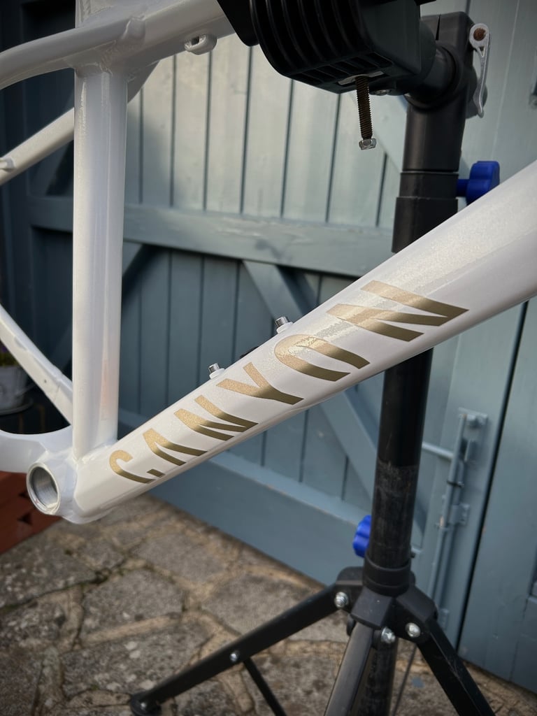 2024 Canyon Stoic Medium 29 Alloy ‘Guardian Angel’ Frame
