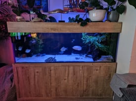 Aquarium, fish tank