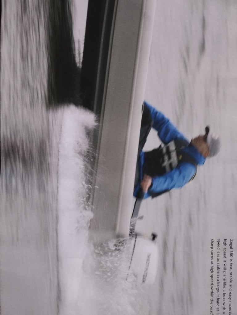 Seagull 380