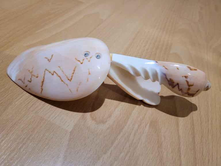 Large Shell Spoon