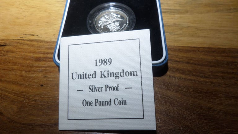 image for 1989 SILVER PROOF POUND COIN.