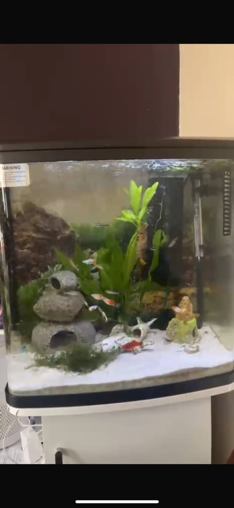 Aquarium Tank for Sale - 90-120 Liters with Equipment