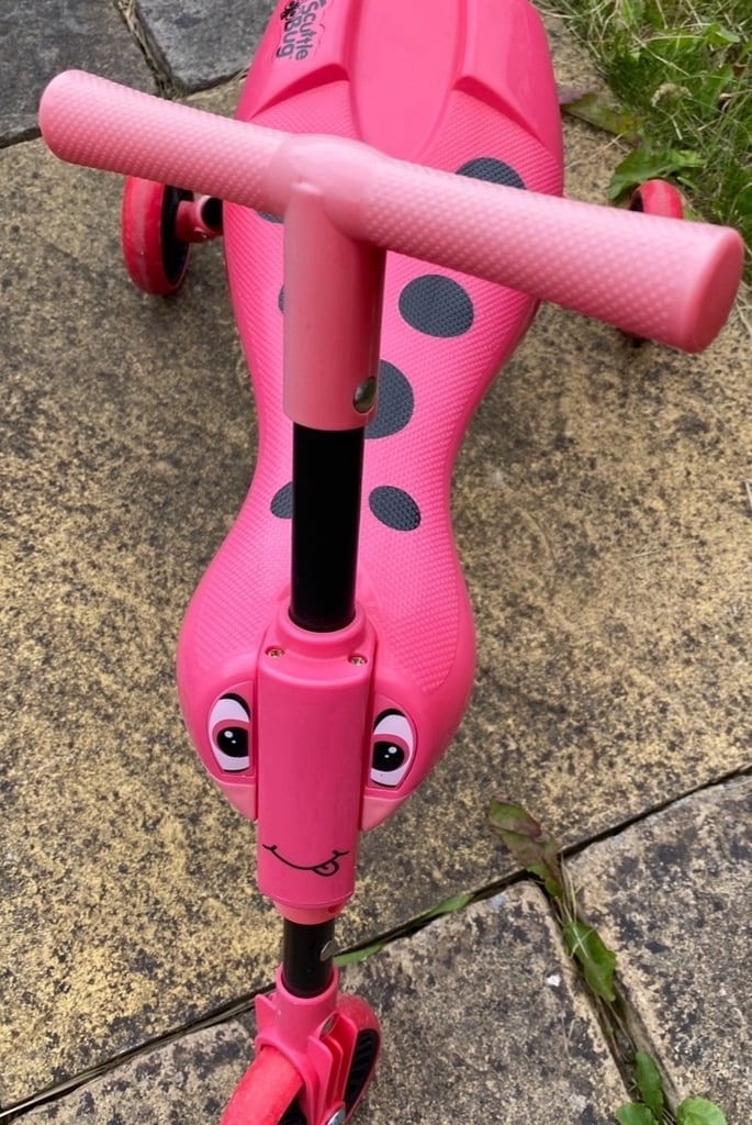 image for Sot on scooter
