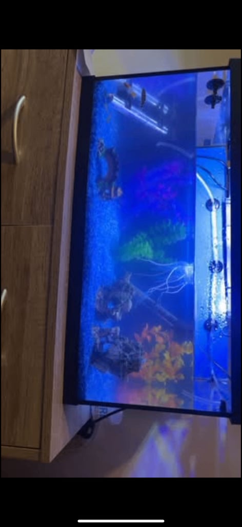 image for Fish tank & accessories 
