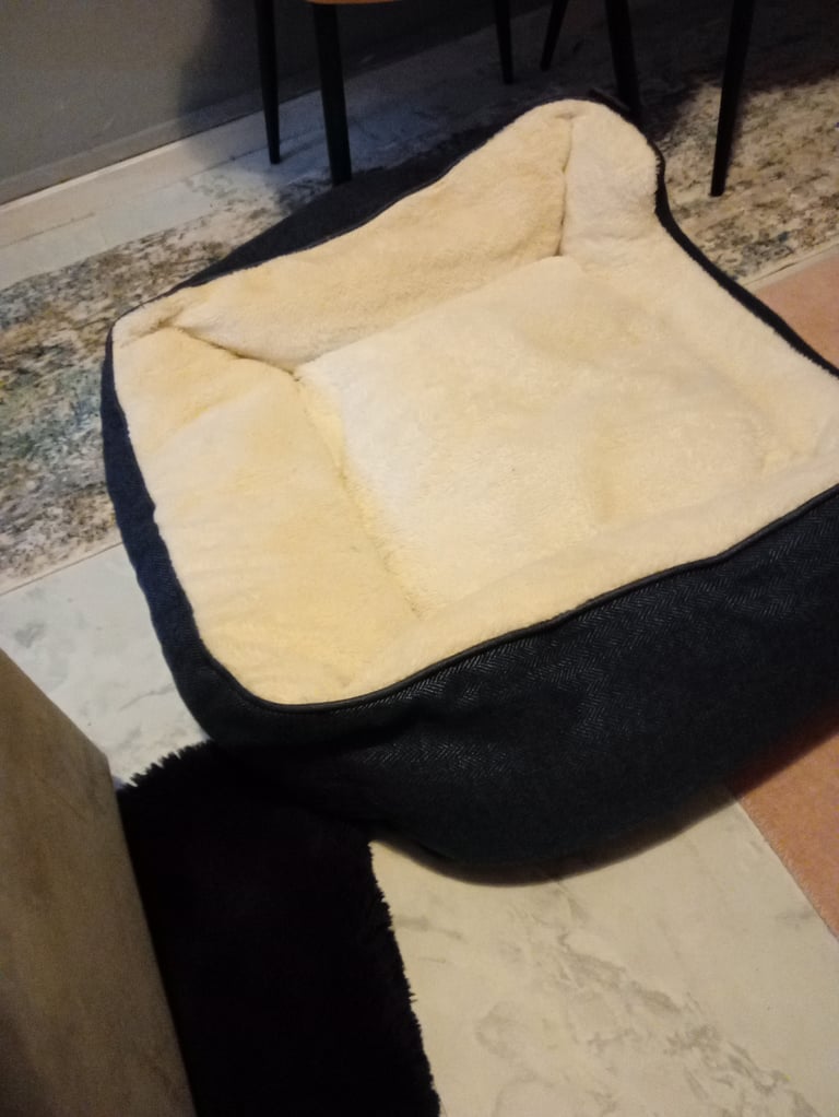 Dog bed 