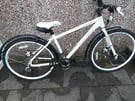 CARRERA MOUNTAIN BIKE