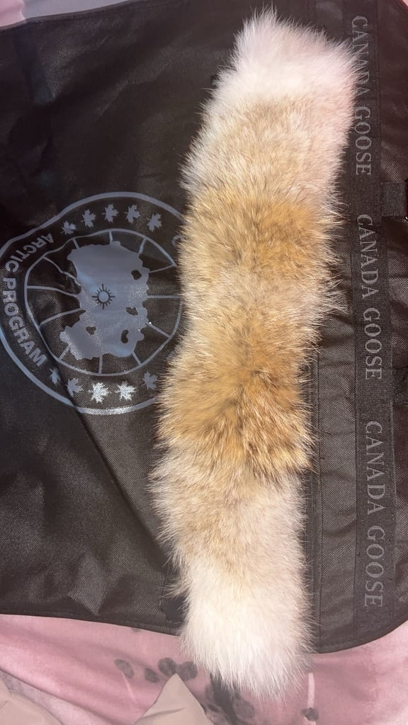 Canada goose Wyndham parka retail £1,291