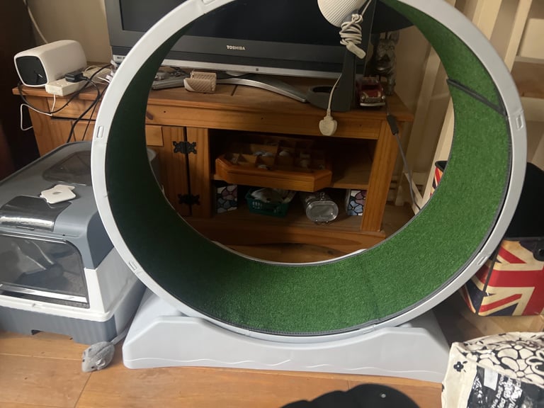 image for Cat treadmill 