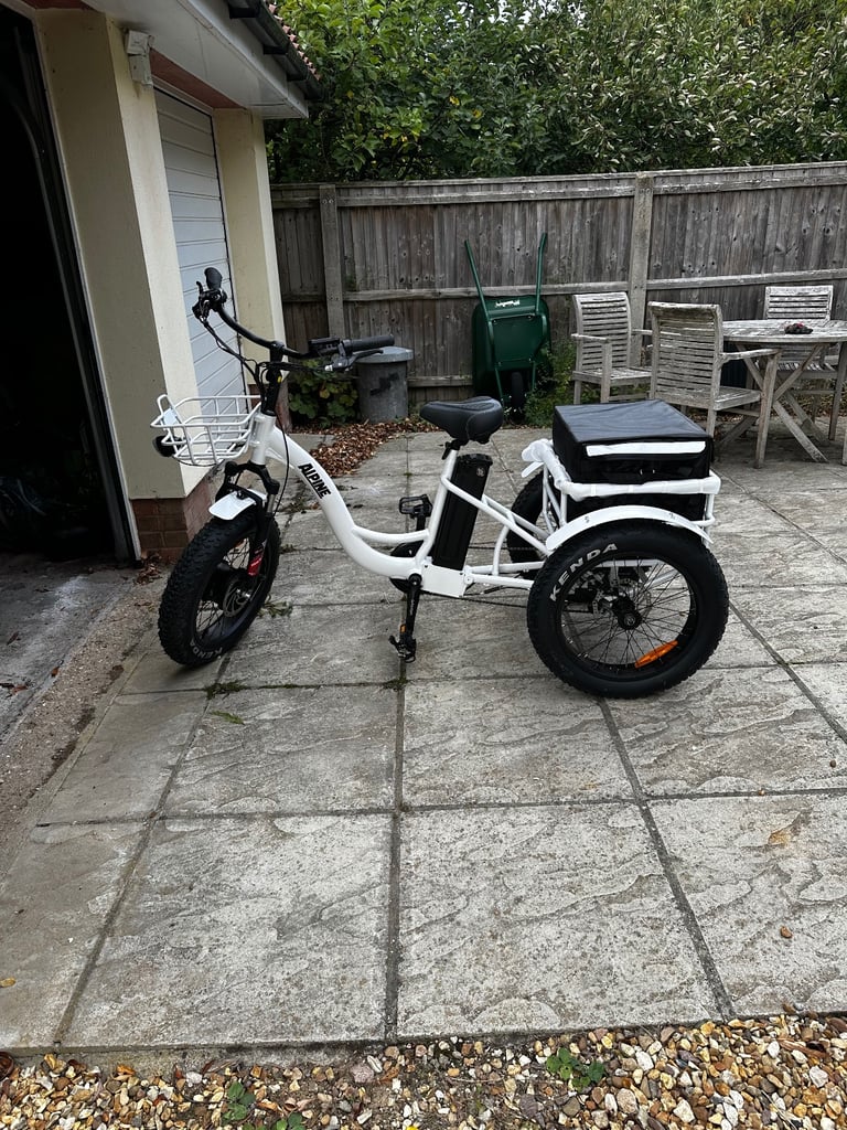 Alpine Explorer Electric Mountain Tricycle 