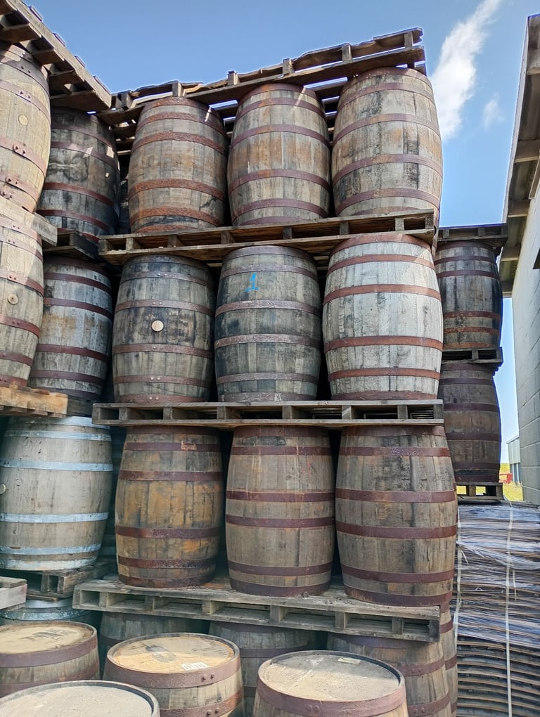 image for Oak barrels only £30