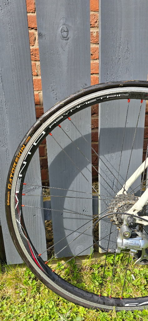 Merida 750 Road Race with upraded Campagnolo carbon  wheels