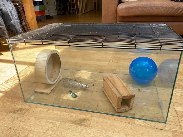 Gerbil Cage, Wheel, Tunnel, Exercise Ball & Water Bottle