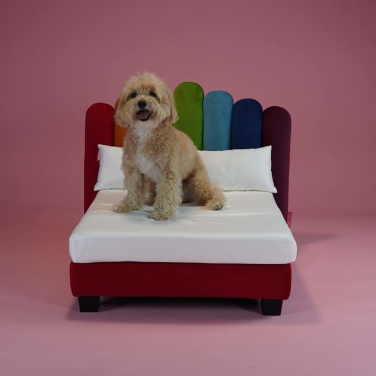 image for BRAND NEW BOXED HOOMAN LIFE LUXOR LUXURY DOG CAT BED UNICORN SMALL RRP £295