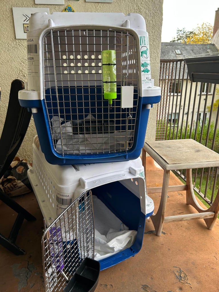 International Travel Compliant Pet Carriers