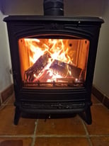 image for Wood burning/multi-fuel stove