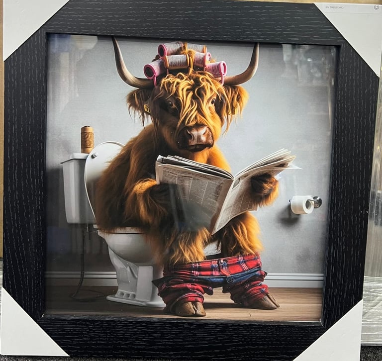 Framed Highland cow picture on toilet NEW & AVAILABLE 