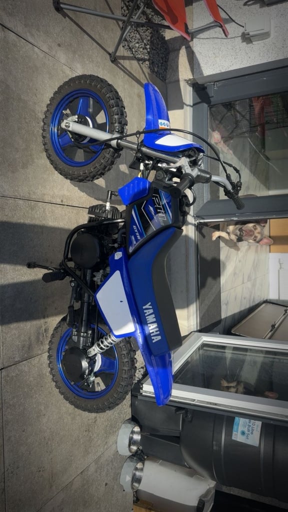 image for Pw 50