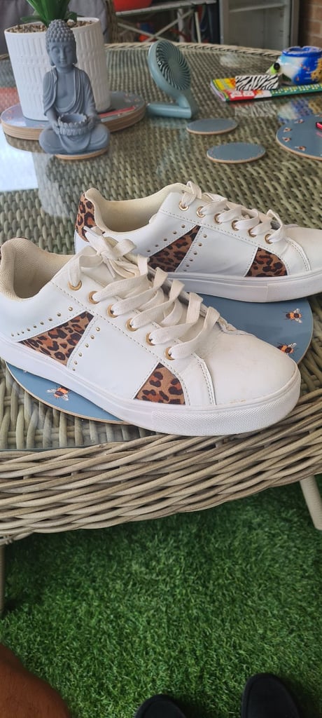 image for Trainers 