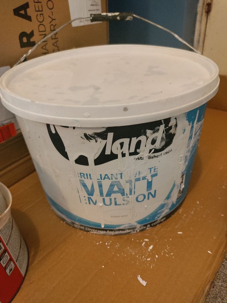 Having a clear out of leftover paint Gloss and Matt Brilliant White