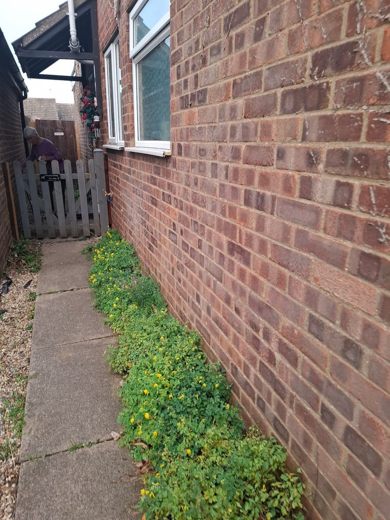 2 bed bungalow Hellesdon  to swap