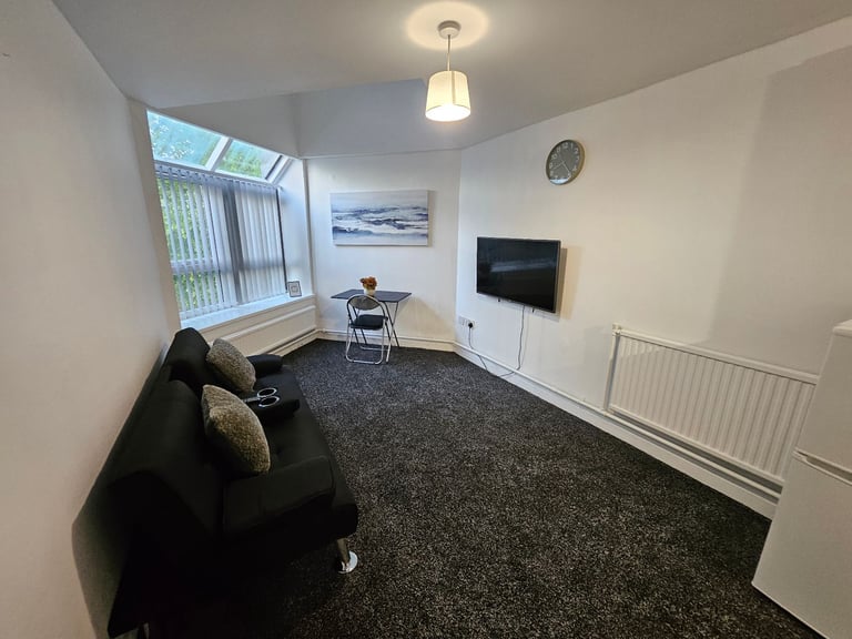 Furnished 1 BR Apt. in Liverpool