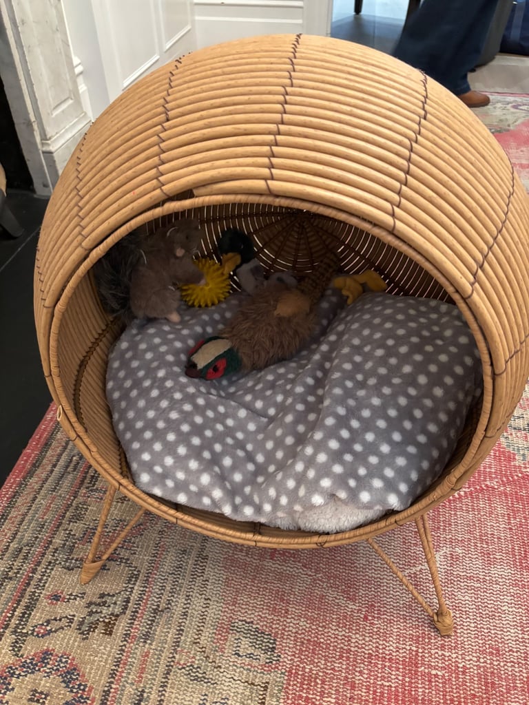 image for Cat bed