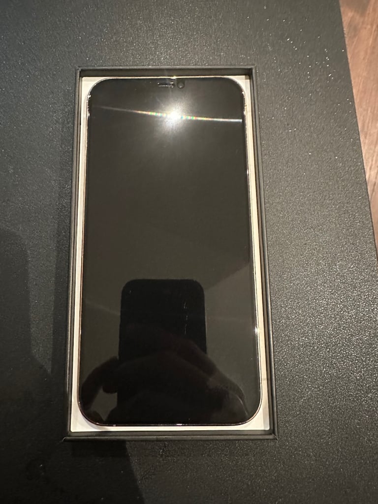 iPhone 12 Pro Max