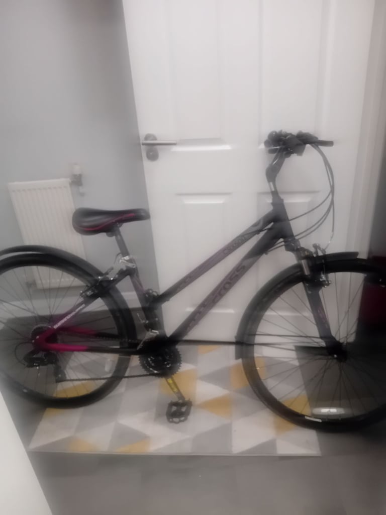 image for Ladies bicycle