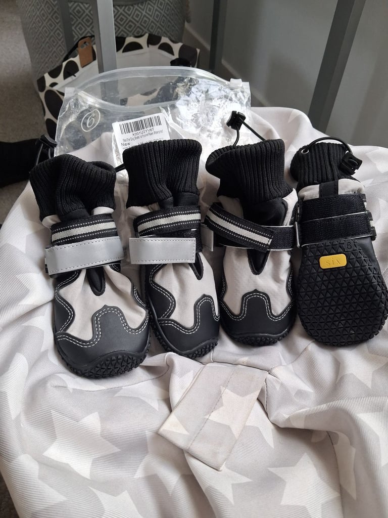 Dog unused slow ton boots £3 each