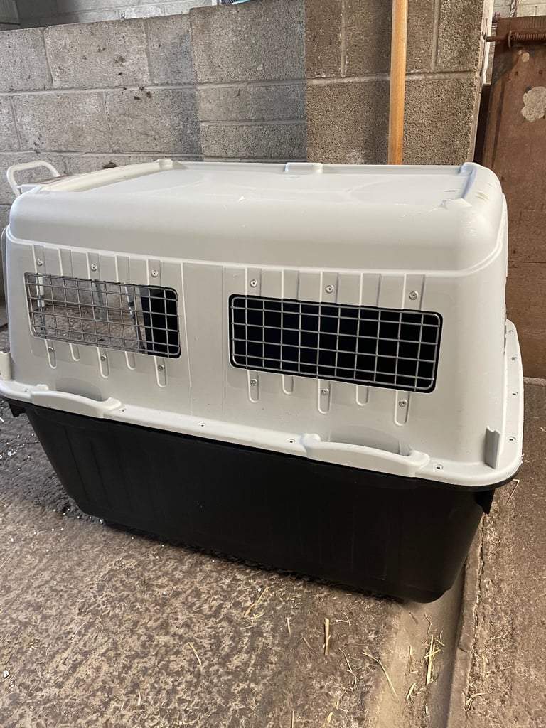 Large Bracco Dog Carrier